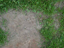 060526-0000-139.jpg 10.3K