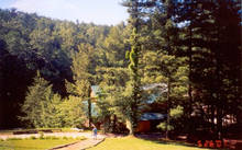 ChildCamp17.jpg 9.8K