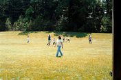 AA_2063_003.jpg 6.2K