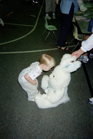 IMG23.jpg 29.2K
