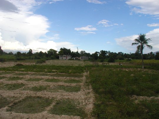 PA110016.jpg 39.3K