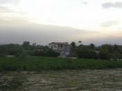 PA110039.jpg 3.1K