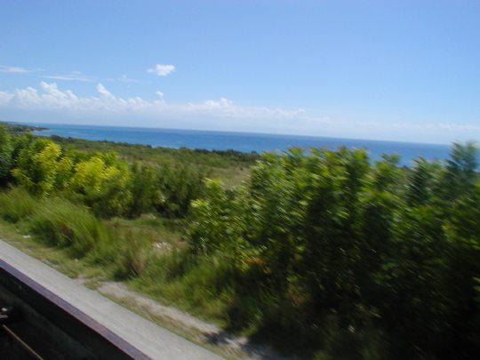 P1010056.jpg 30.7K