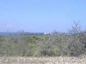 P1010041.jpg 3.5K