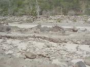 th-001007-1148-059.jpg 6.3K