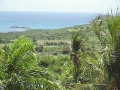 th-001007-1901-100.jpg 6.7K