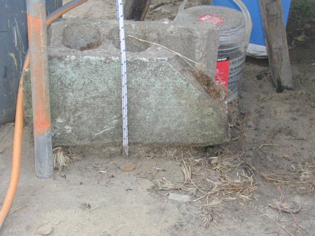photo6.jpg