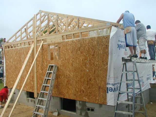 photo42.jpg