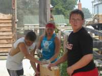 photo76_small.jpg
