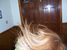 050322-1036-105.jpg 8.0K