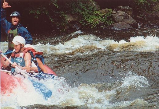 Image9.jpg 49.7K