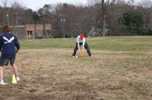 IMG_1094.jpg 7.5K