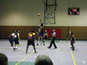020226-1949-061.jpg 6.1K