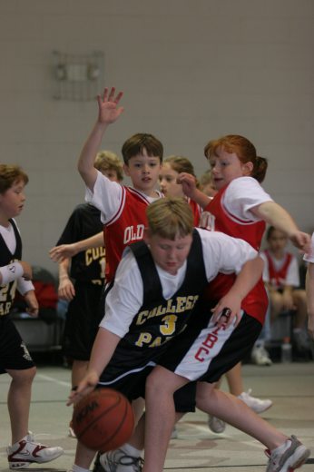 IMG_1972.jpg 26.9K