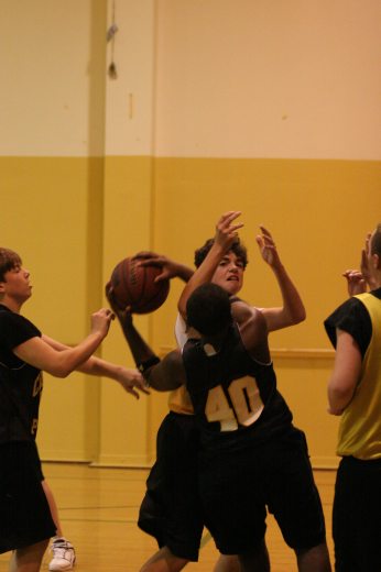 IMG_2663.jpg 21.1K