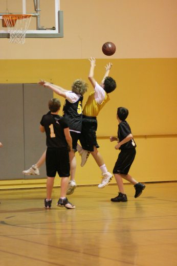IMG_2859.jpg 24.0K