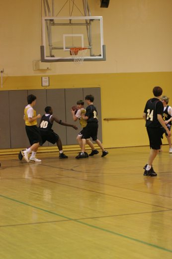 IMG_3117.jpg 24.3K