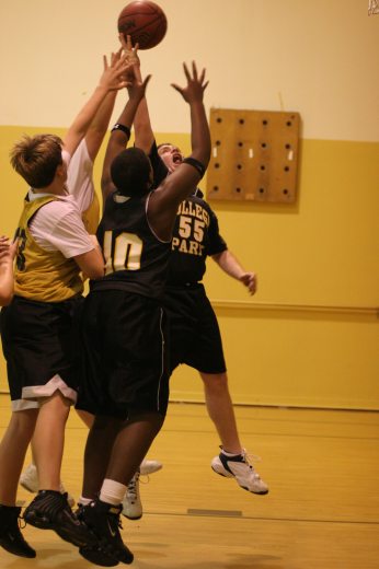 IMG_3305.jpg 27.2K
