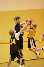 IMG_2803.jpg 7.0K