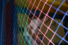 060508-1531-14.jpg 10.9K